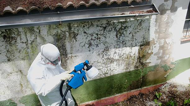 Top rated local Commercial Mold Remediation specialists in Queenstown, MD